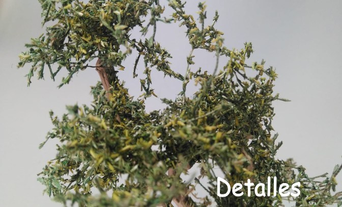 Detalles