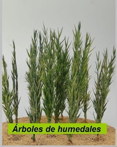 Árboles de humedales