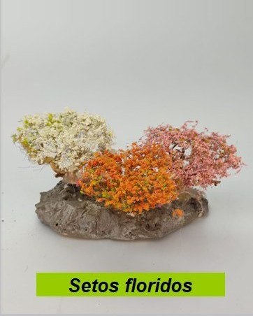 Setos floridos