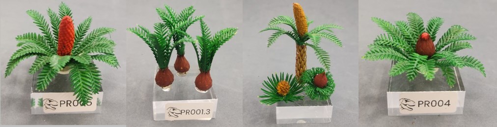 Primeros modelos de árboles prehistóricos de Nature Center, referencias PR005, PR001.3, PR003 y PR004