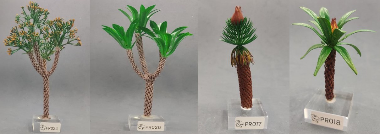 Modelos de árboles prehistóricos de Nature Center, referencias PR024, PR026, PR017 y PR018